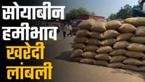 सोयाबीन हमीभाव खरेदीला शासनाच्या नव्या धोरणाचा ‘ब्रेक’; शेतकरी क्विंटलमागे हजारो रुपये तोट्यात.