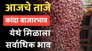 कांदा बाजारभाव 28 ऑक्टोबर चे कांद्याचे बाजारभाव पहा.