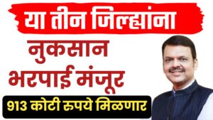 शेतकऱ्यांसाठी दिलासा ; तीन जिल्ह्यांची थकीत नुकसान भरपाई अखेर मंजूर! शेतकऱ्यांसाठी दिलासा