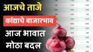 महाराष्ट्रातील आजचे 17 ऑक्टोबरचे कांदा बाजारभाव पहा.