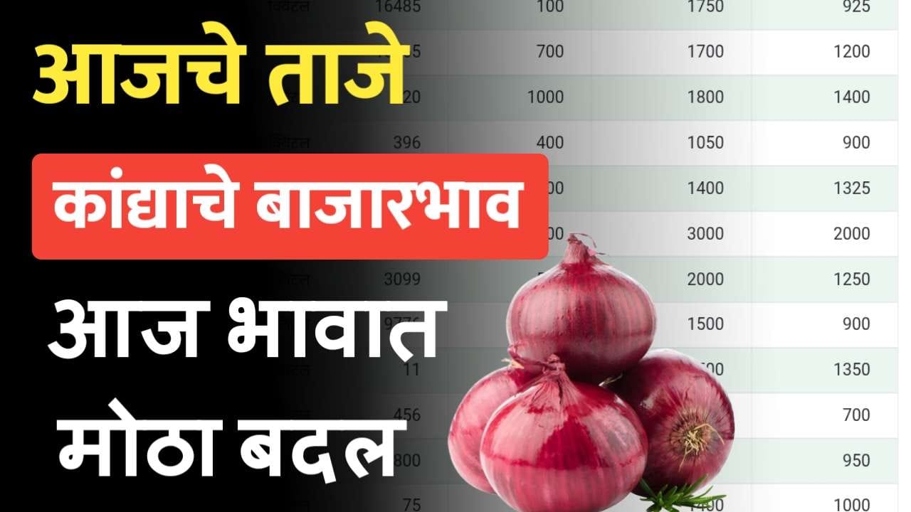 कांदा बाजारभाव