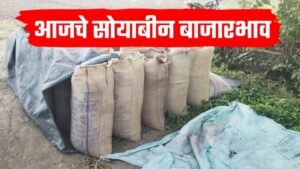 Soyabin bajar 16 October ; आजचे 16 ऑक्टोबरचे सोयाबीन बाजारभाव.