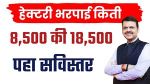 अतिवृष्टी नुकसान भरपाई: हेक्टरी ₹८,५०० की ₹१८,५००? शेतकऱ्यांमधील संभ्रम निर्माण.