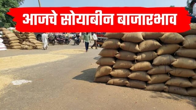 सोयाबीन बाजारभाव ; राज्यातील आजचे 17 ऑक्टोबरचे सोयाबीन बाजारभाव.