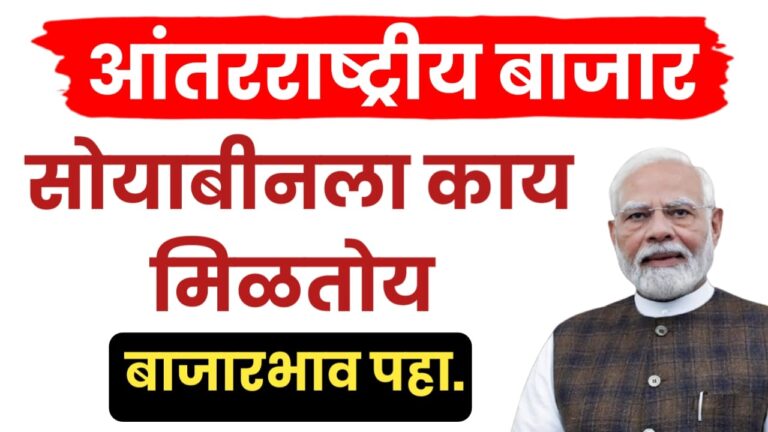 आंतरराष्ट्रीय बाजारात सोयाबीनचा सध्याचा भाव काय पहा.
