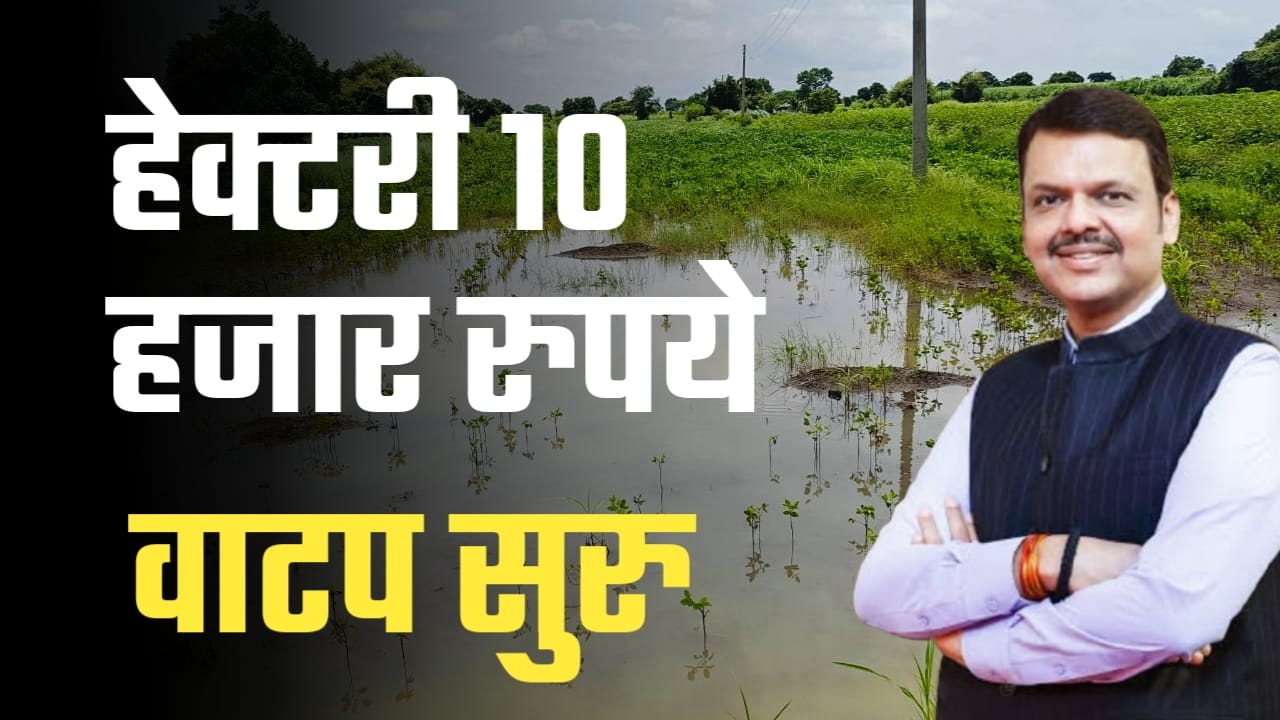 मदत वितरण सुरू