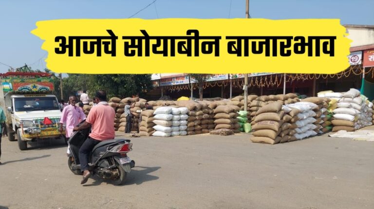 Price of soyabin ; आजचे ताजे 19 ऑक्टोबर चे सोयाबीन बाजारभाव पहा.