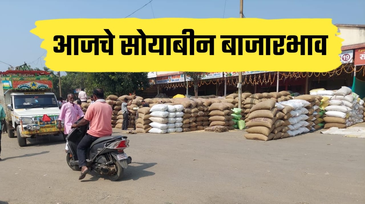 Price of soyabin