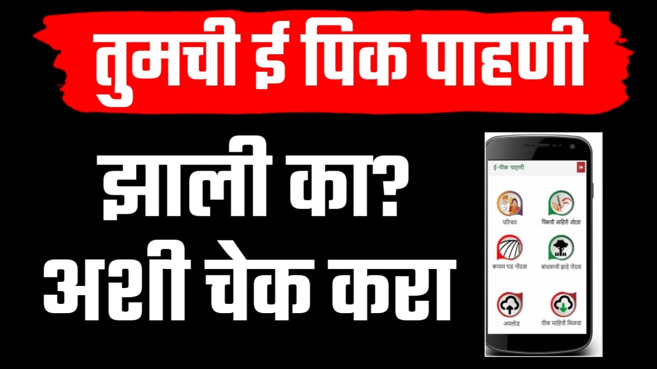 ई-पीक पाहणीचा स्टेटस