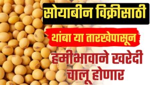 Soyabin MSP, kharedi ; शेतकऱ्यांना सोयाबीन विक्रीसाठी थांबा, या तारखेपासून सोयाबीन हमीभावाने खरेदी होणार.