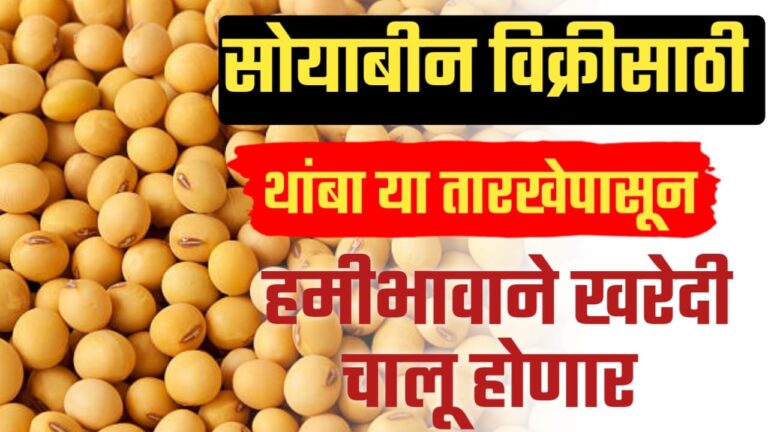 Soyabin MSP, kharedi ; शेतकऱ्यांना सोयाबीन विक्रीसाठी थांबा, या तारखेपासून सोयाबीन हमीभावाने खरेदी होणार.