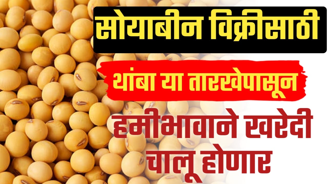 Soyabin MSP, kharedi