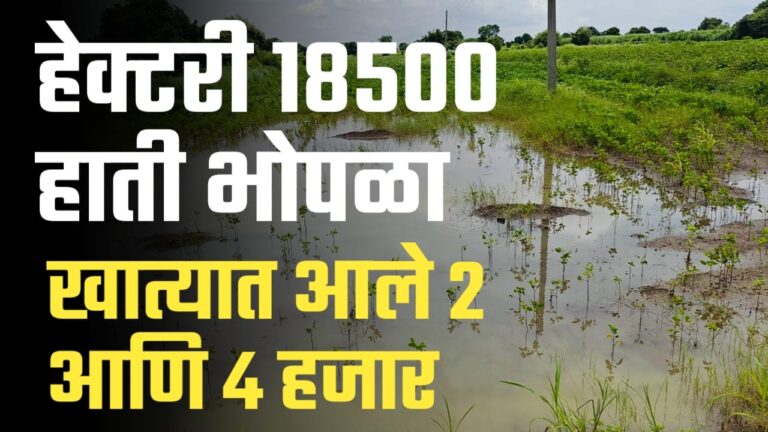 हेक्टरी 18500 नुकसान भरपाई, हाती मात्र 1500 ते 5,6 किंवा 7 हजार मिळाले.