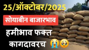 Soyabin bajarbhav today ; राज्यातील आजचे 25 ऑक्टोबर चे सोयाबीन बाजारभाव पहा.