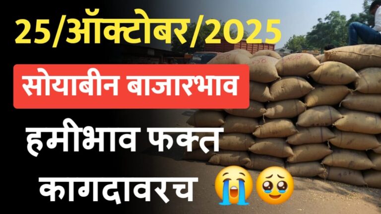 Soyabin bajarbhav today ; राज्यातील आजचे 25 ऑक्टोबर चे सोयाबीन बाजारभाव पहा.