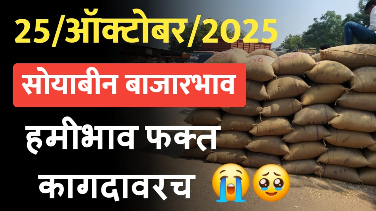 Soyabin bajarbhav today