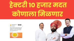 नुकसानग्रस्त शेतकऱ्यांसाठी हेक्टरी १०,००० रुपये मदतीबाबत प्रश्नचिन्ह आणि मदतीचा विलंब.
