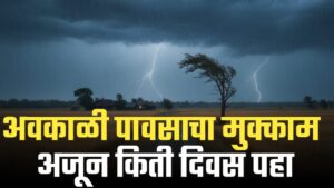 विदर्भ आणि मराठवाड्यात मान्सूनोत्तर पावसाचा हाहाकार ; ‘मोंथा’ चक्रीवादळामुळे मोठे नुकसान.