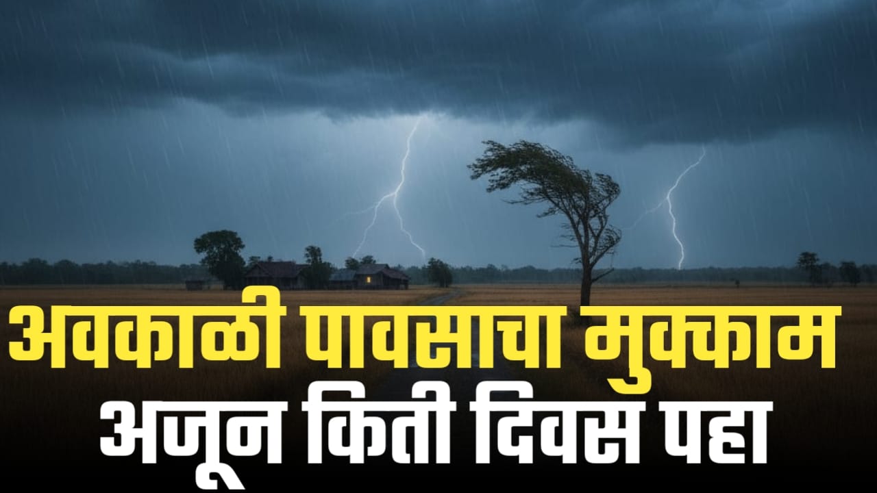 विदर्भ आणि मराठवाड्यात