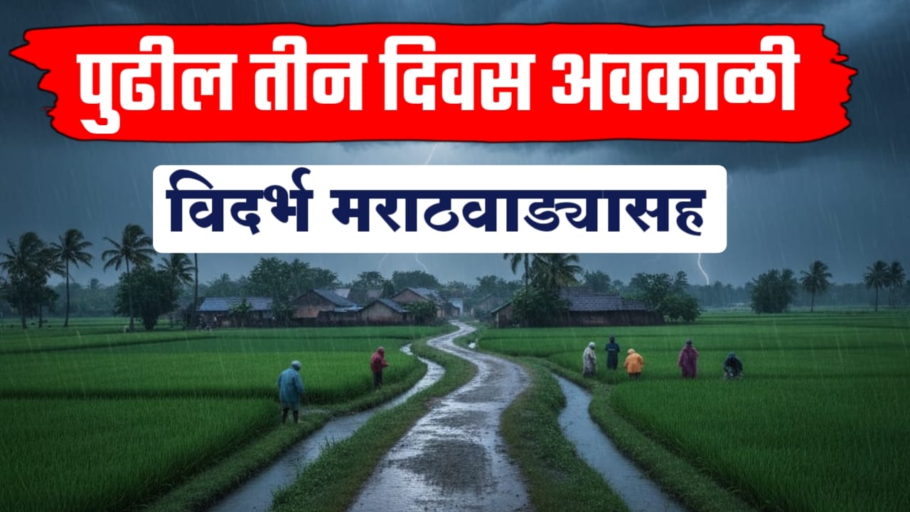 माेंथा’ चक्रीवादळ ; विदर्भात