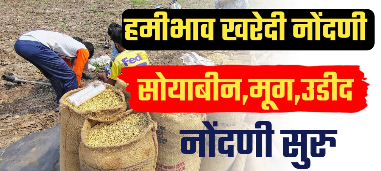 सोयाबीन मूग उडीद आणि धान