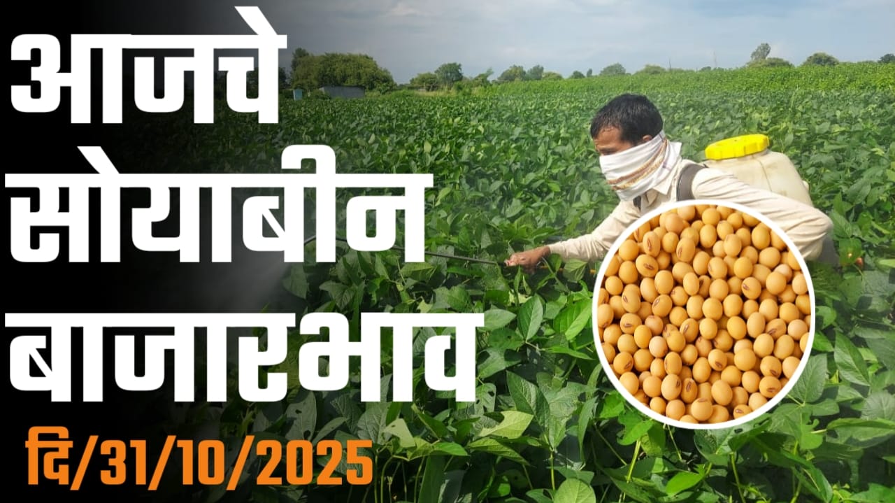 महाराष्ट्रातील सोयाबीन बाजारभाव